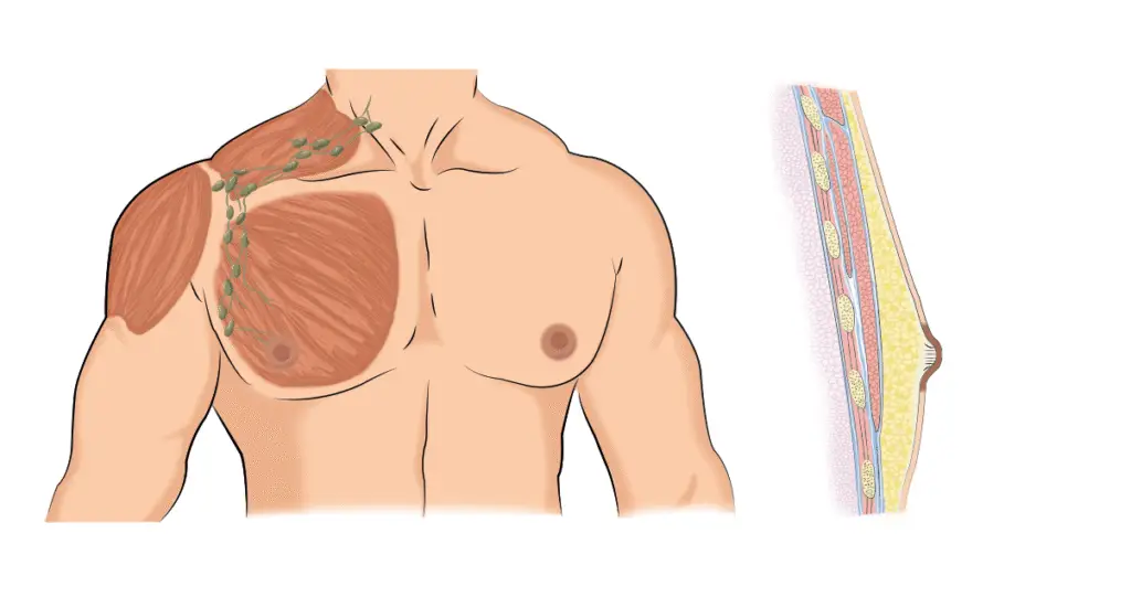 Ilustracion 1 1024x541